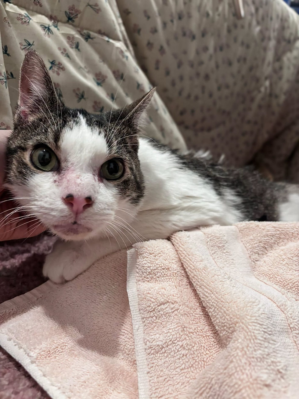 Nook | Receiving Care