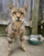 Parker | Receiving Care