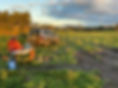 Soil assessments and monitoring | Enviro Consulting Australia