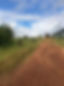 Agricultural assessments | Enviro Consulting Australia