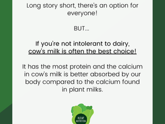 Cow's Milk vs Plant-Based Milk