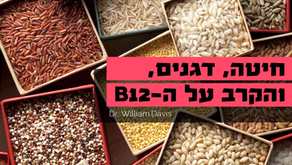 חיטה, דגנים והקרב על ה-B12