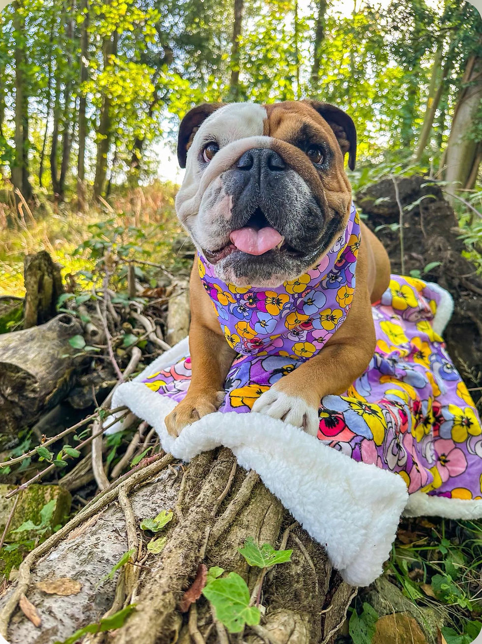 Thumbnail: Blooming Lovely Bandana 