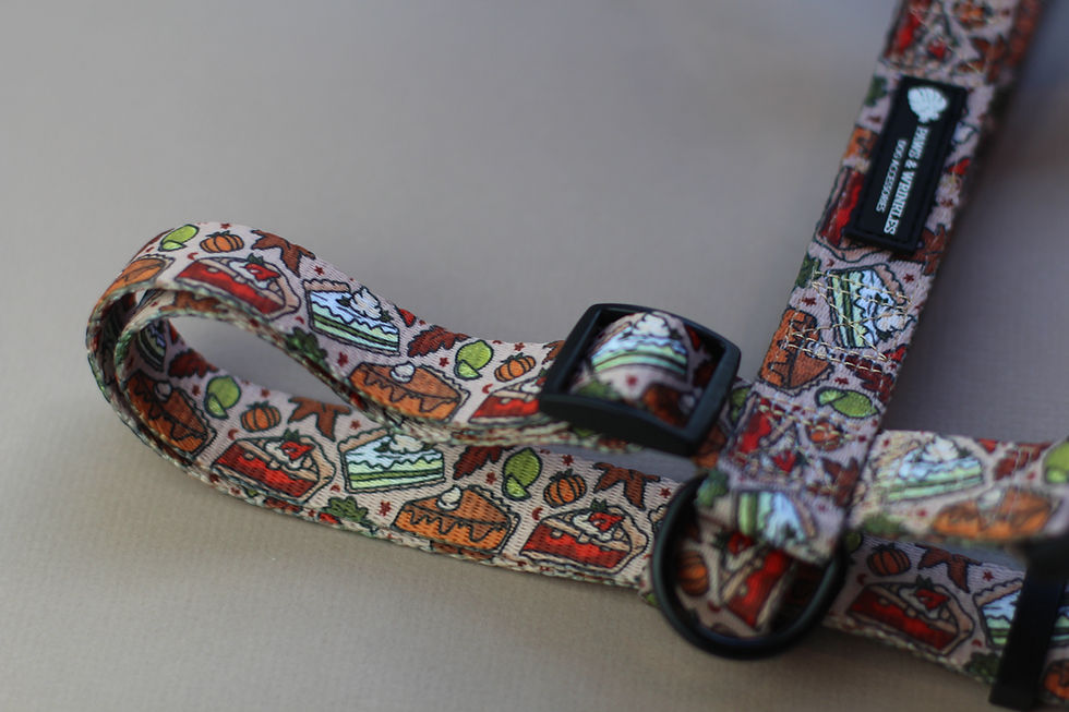 Thumbnail: Pupkin Pie Harness