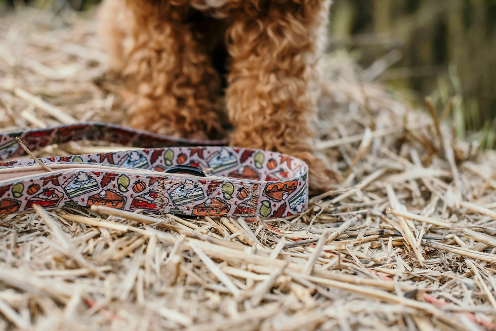 Thumbnail: Pupkin Pie Lead