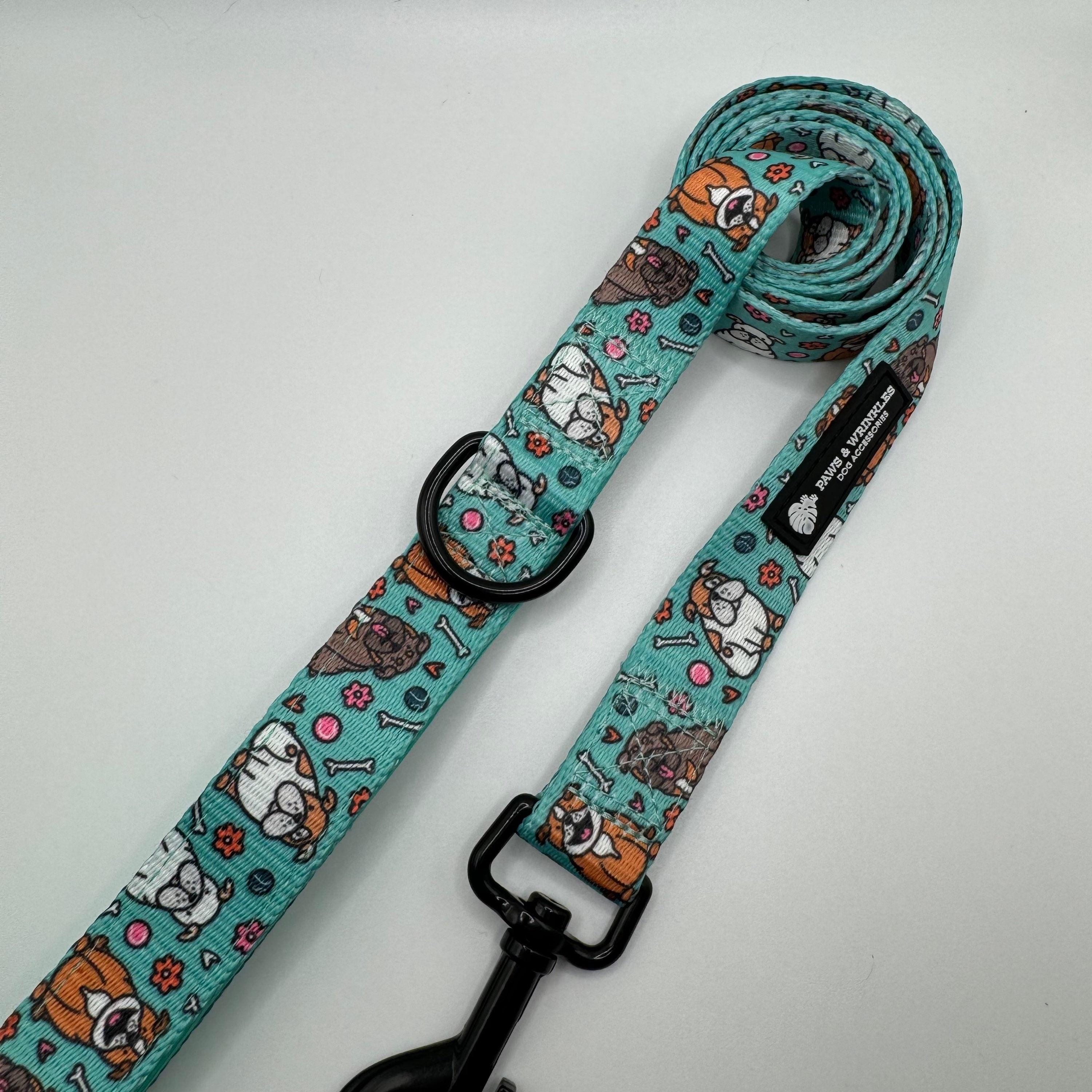 All About Bulldogs Lead