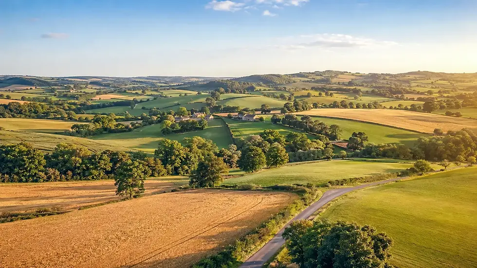 howardian-hills-north-yorkshire-white-dental.webp