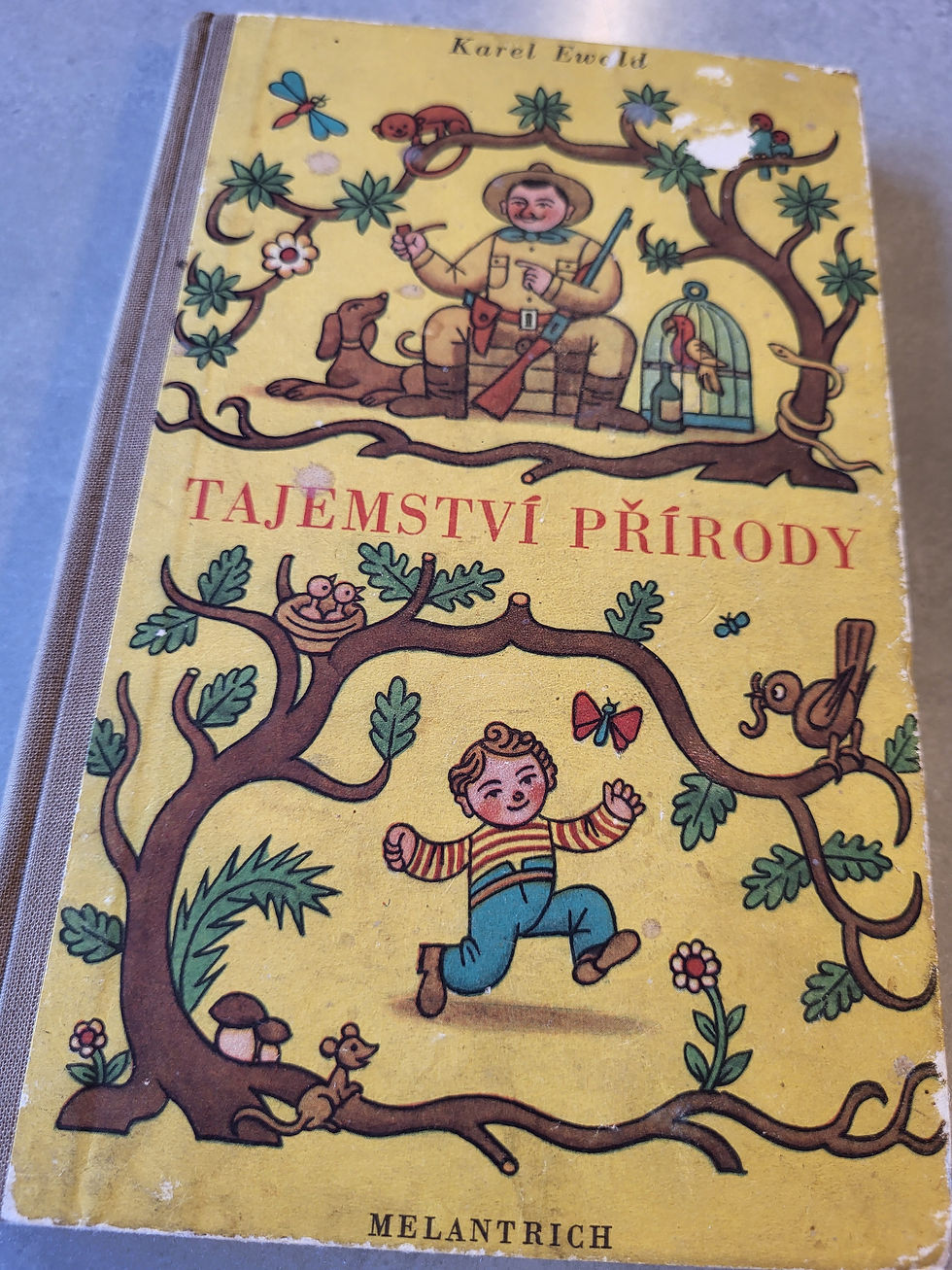 Miniaturbild: Tajemství Prírody - "Die Geheimnisse der Natur"