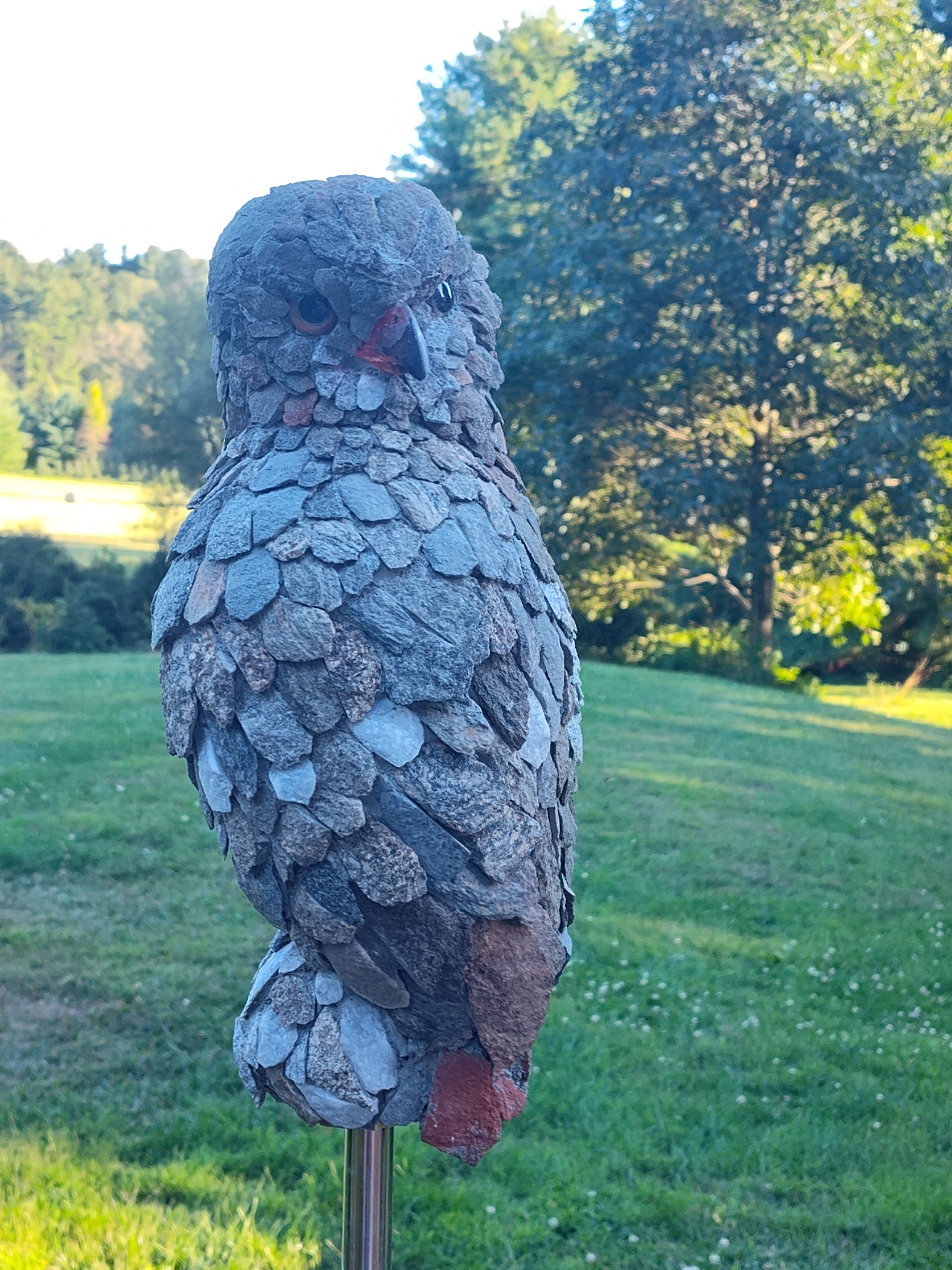 Redtail Hawk
