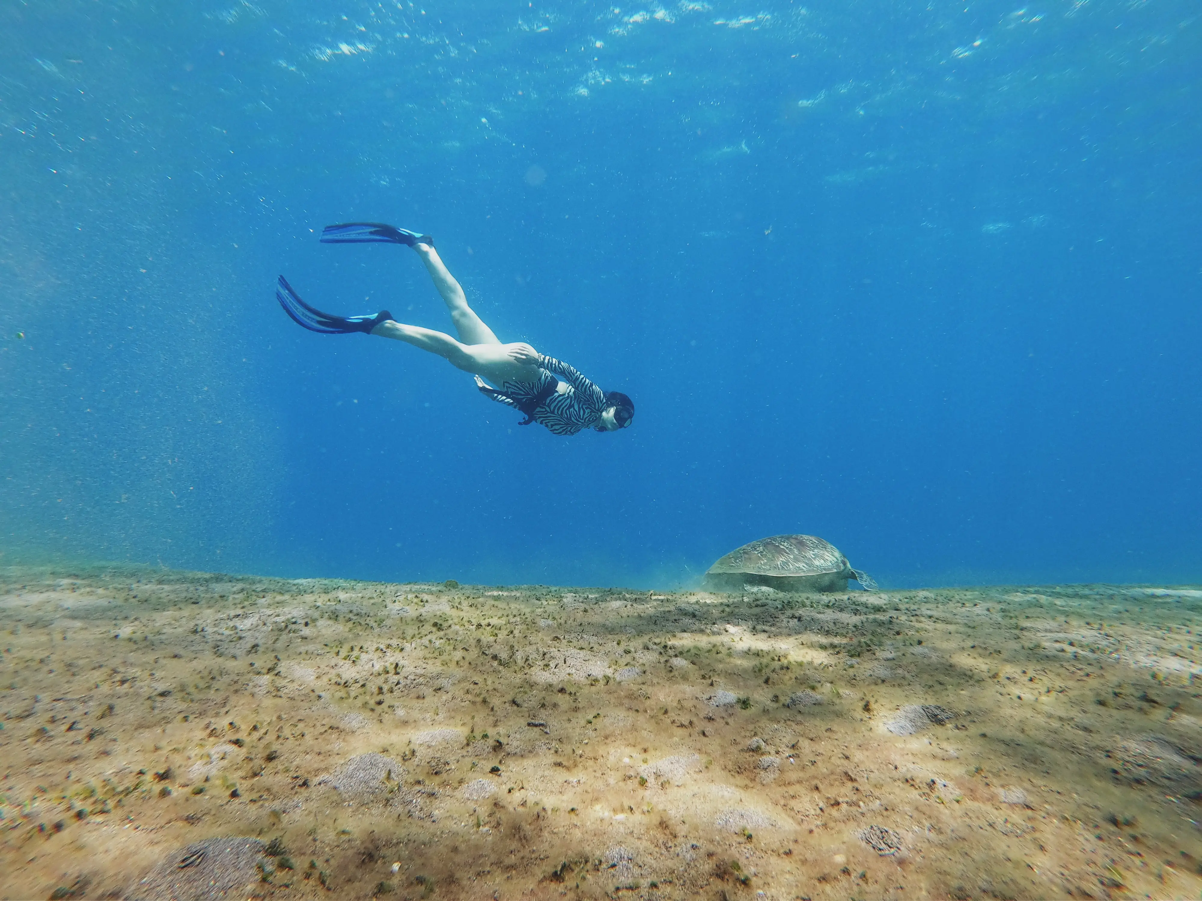 freediving-bali-nusa-penida-indonezja-wyjazdy-ocean-karma-nurkowanie-żółwie.webp