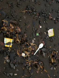 o-nas-ocean-karma-surfing-joga-sprzątanie-plaży-clean-trash-garbage-beach-bali-save-planet