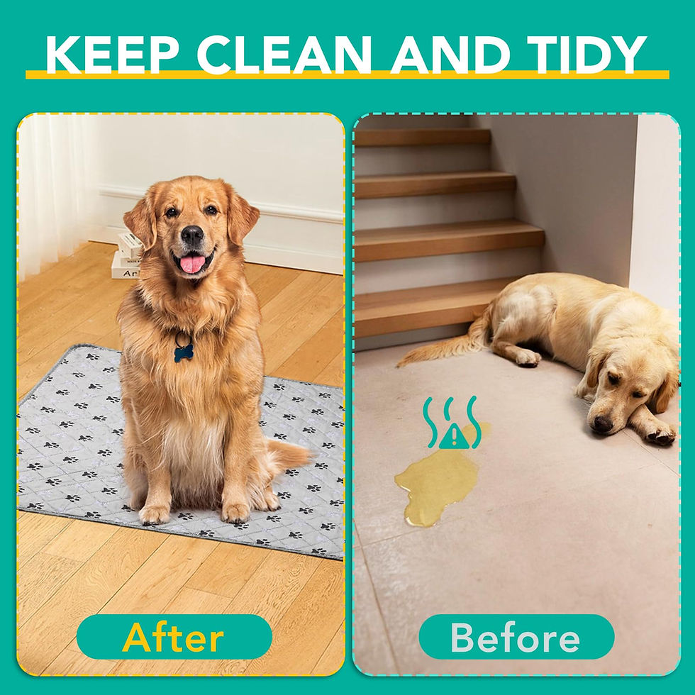 Thumbnail: FURWEY 2 Pack Extra Large 72"X72" Washable Pee Pads for Dogs Super Absorbent ...