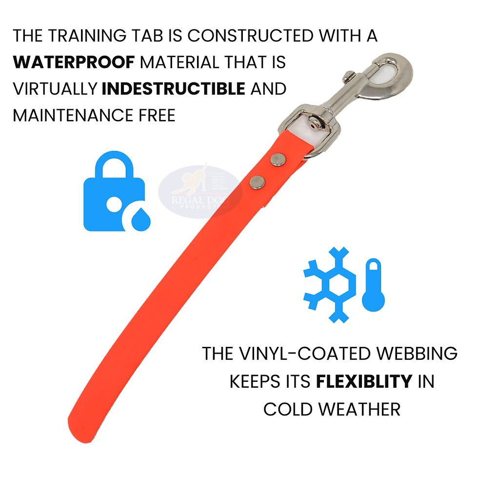 Thumbnail: Regal Dog Products Short Dog | Biothane Training Tab Leash for Dogs | Waterpr...