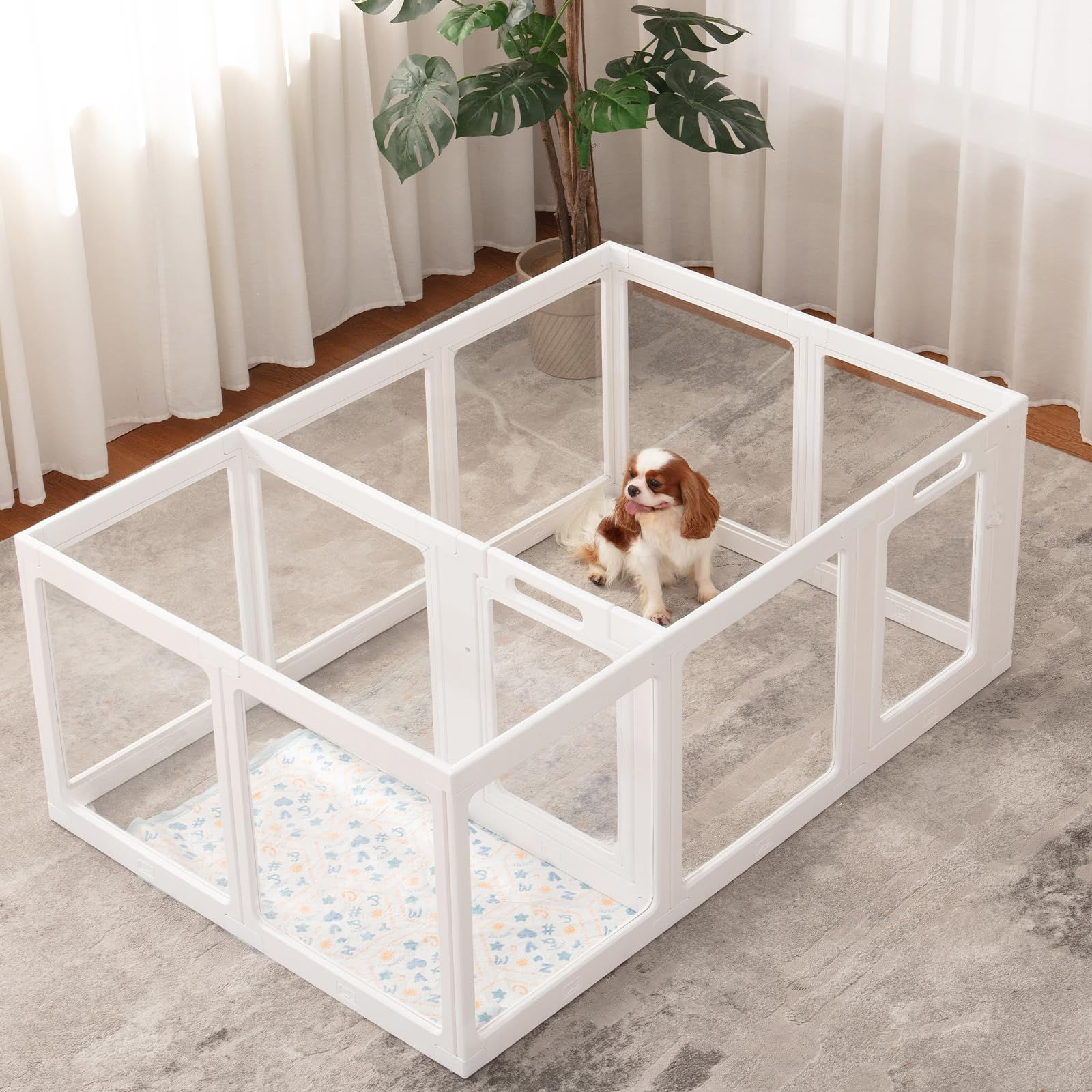 Clear Acrylic Dog Playpen w/ Potty area