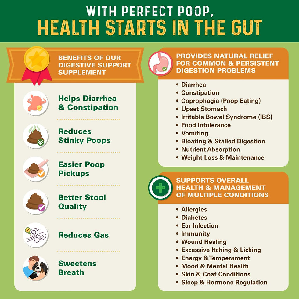 Thumbnail: Perfect Poop Digestion & General Health Supplement for Dogs: Fiber, Prebiotic...
