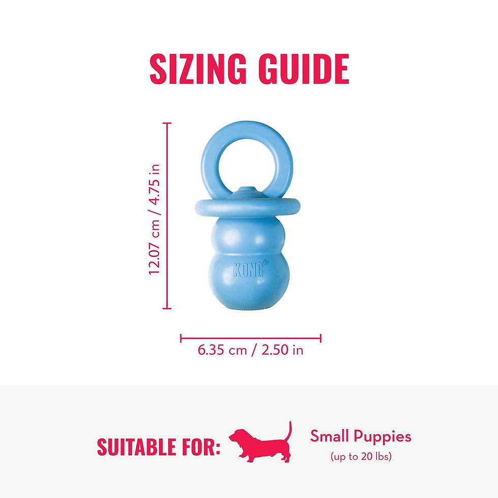 Thumbnail: KONG Puppy Binkie - Pacifier Dog Toy for Puppies - Stuffable Treat Chew Toy f...