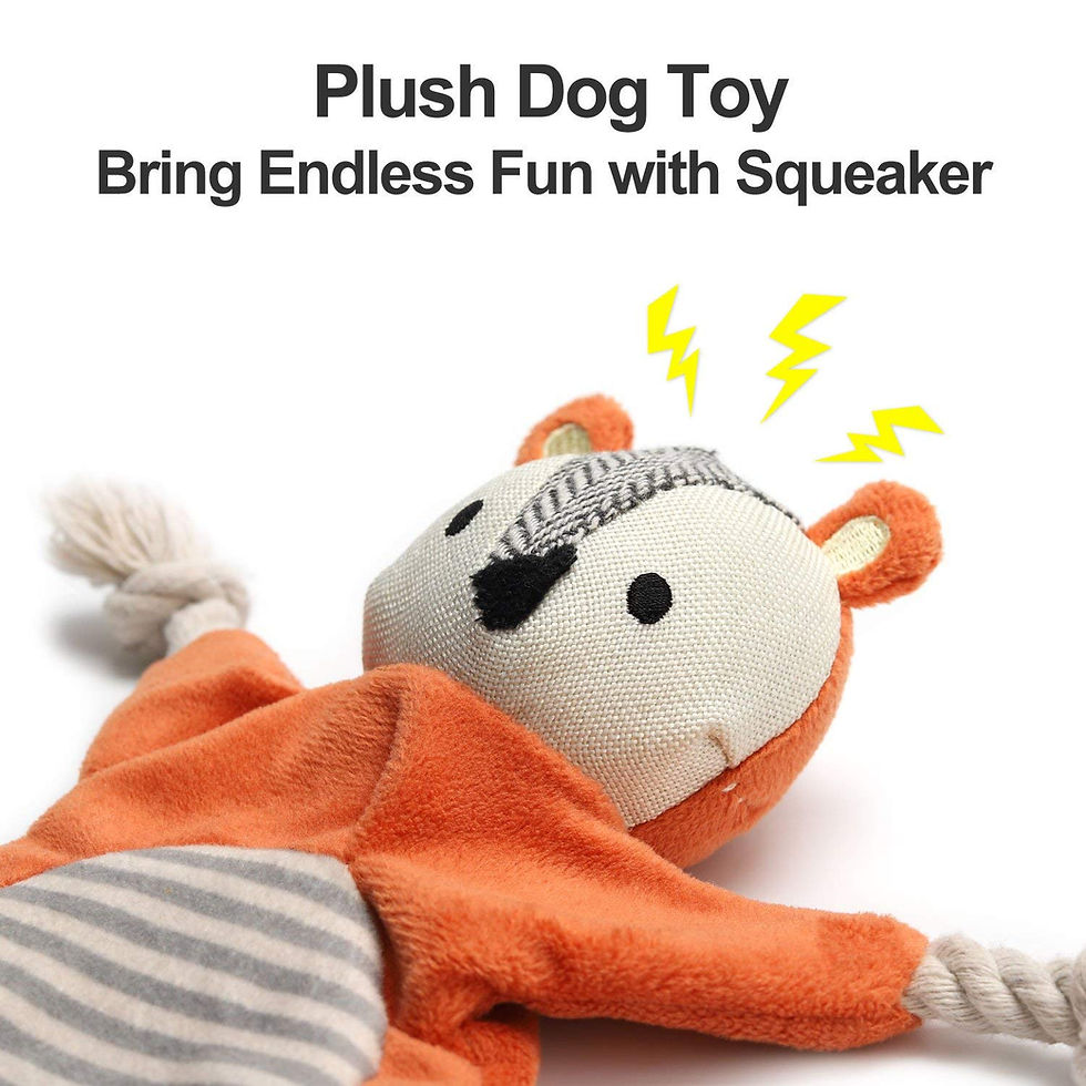 Thumbnail: Vitscan Squirrel Plush Toy, Stuffless Dog Chew Toy with Rope Knots, Crinkle S...