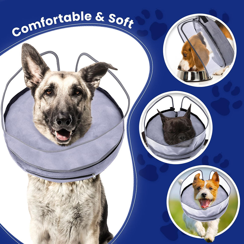 Thumbnail: BARKLESS Dog Cone, Inflatable Dog Cone After Surgery for Small Medium Breeds,...