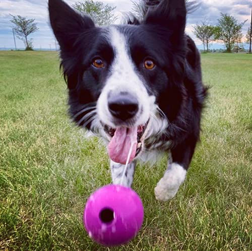 Thumbnail: Chew King Fetch Balls Extremely Durable Natural Rubber Toy Pack of 3 - 3 inch...
