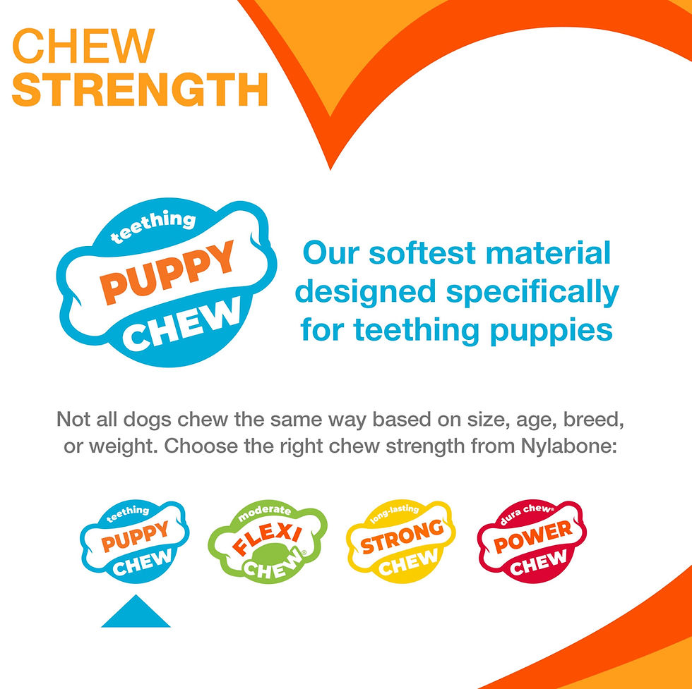 Thumbnail: Nylabone Puppy Chew Key Ring Toy, Toys for Teething Puppies, Multi Color, Bac...