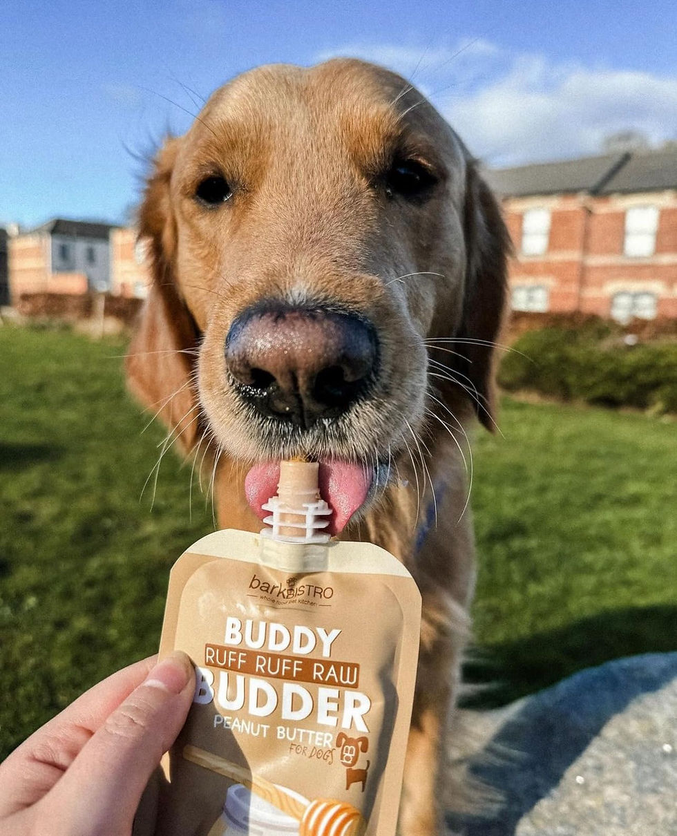 Thumbnail: BUDDY BUDDER 6 Pack Mixed Flavor Squeeze Packs, 100% Natural Dog Peanut Butte...