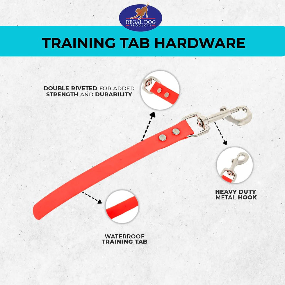 Thumbnail: Regal Dog Products Short Dog | Biothane Training Tab Leash for Dogs | Waterpr...