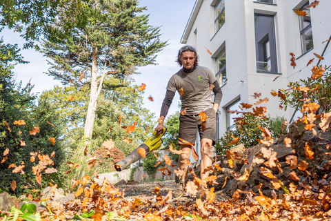 General gardening, garden tidy, garden clearance, Exeter gardening, Devon gardening, Leaf blowing, Hedge trimming, Exeter Hedging, Devon hedging.