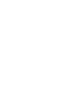 Shootz Pineapple Outline - White.png