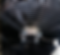 Screenshot 2024-08-06 at 07.56.27.png