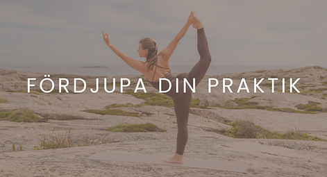 Programomslag Fanniesyoga.com (1).png