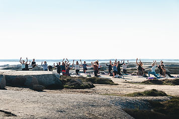 Hållö_retreat2-41.jpg