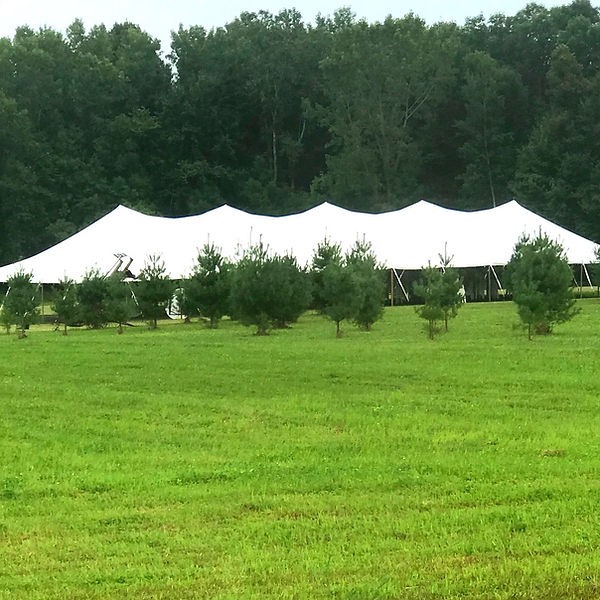 40x120 tent_edited.jpg