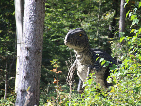 26.10.2019 - Wildpark, Klappe die Zweite