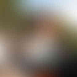 Ruby the Raptor Sparefroh