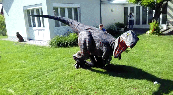 Ruby the Raptor GIF