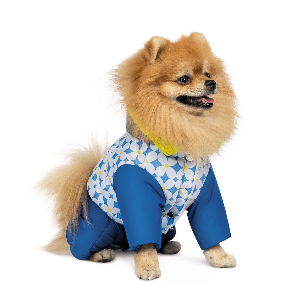 Костюм Pet Fashion Tender для дівчаток розмір XS2 синій