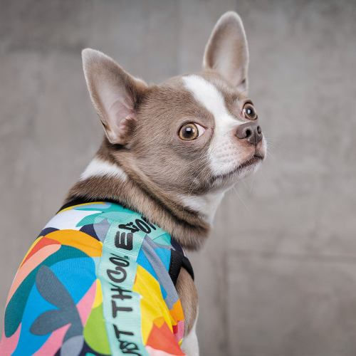 Прев'ю: Борцівка Pet Fashion «Cool» для собак розмір M з принтом