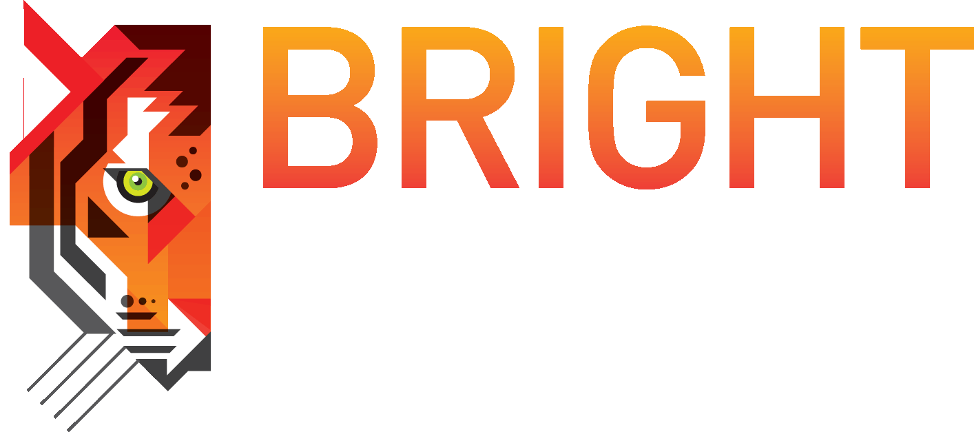 Bright Tiger builders south london