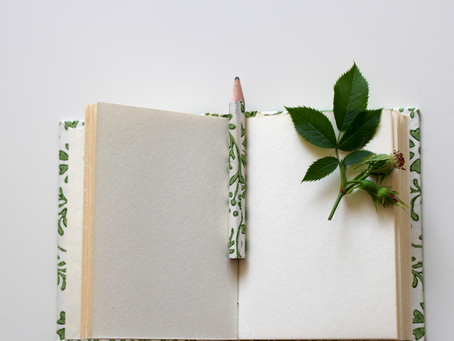 An Unexpected Treasure