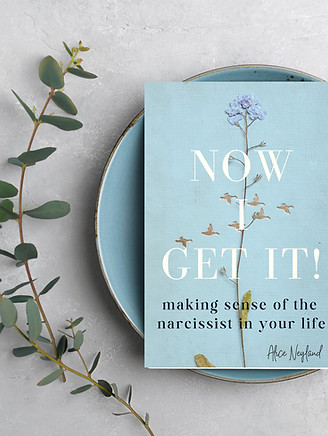 Book Mockup (20).png