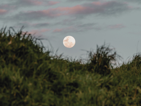 lasting joy moon over pasture shows Gods creative wonder