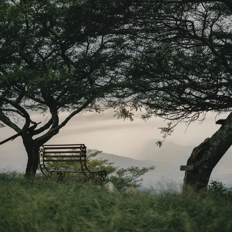 A Hiding Place