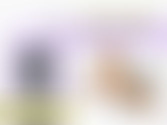 ทำไม ? ต้องมี Diode laser กำจัดขนที่คลินิก