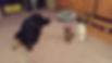 20131215_180721.jpg