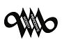 WM Logo w writing_edited.jpg