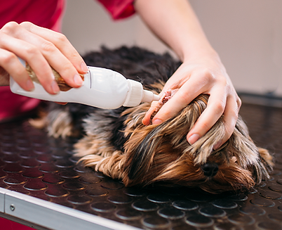 Ear cleaning