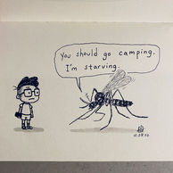 Mosquitoes
