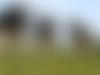 Setor de leite quer subsídios e veto a importações