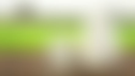 Segundo mês de alta no preço do leite pago ao produtor