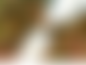 Governo editará medida tributária para socorrer a cadeia leiteira